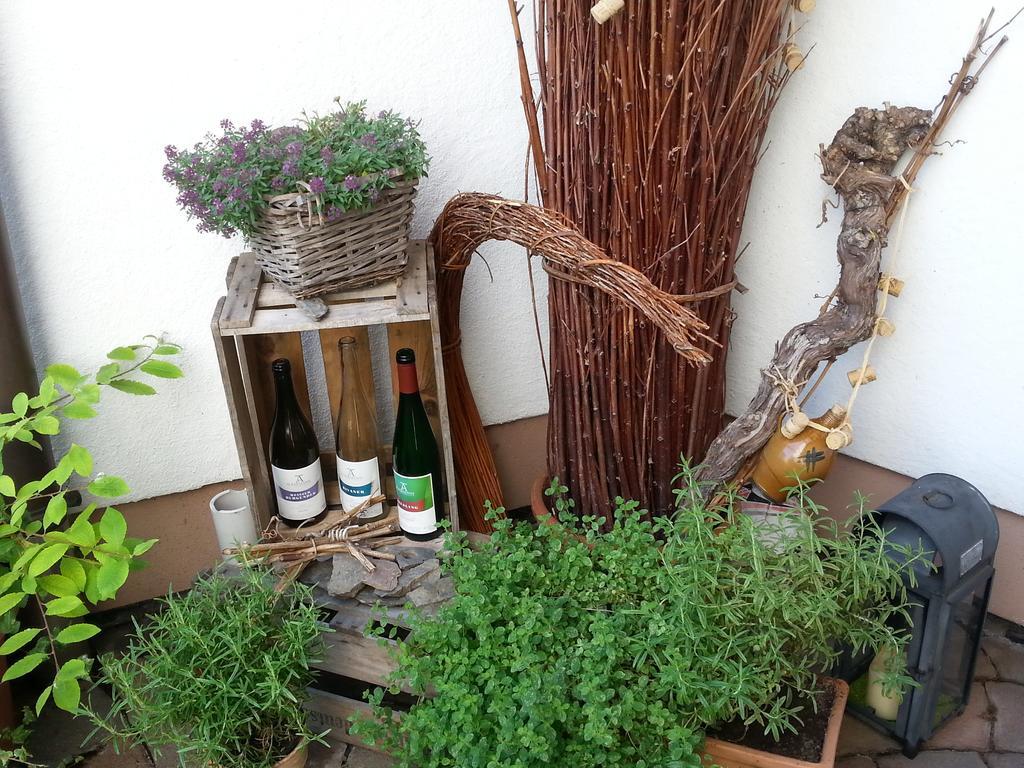 Weingut Ackermann