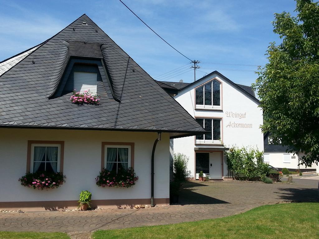 Apartment Weingut Ackermann Zeltingen-Rachtig